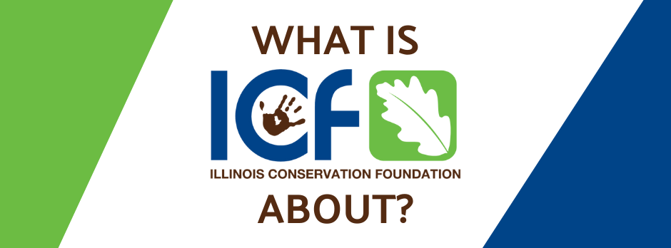 What is ICF about?