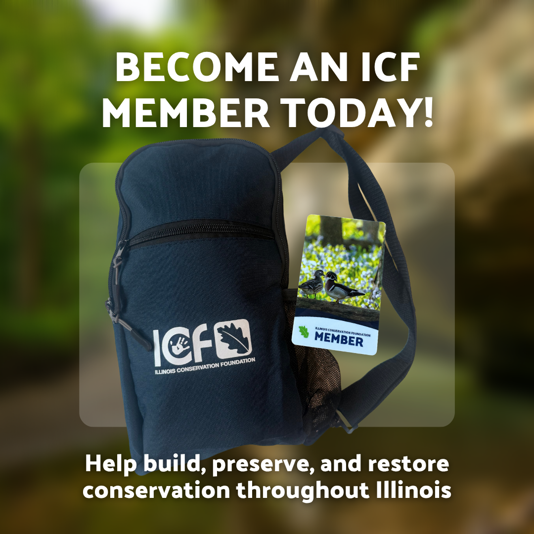 Become an ICF member today help build, preserve and restore conservation throughout Illinois