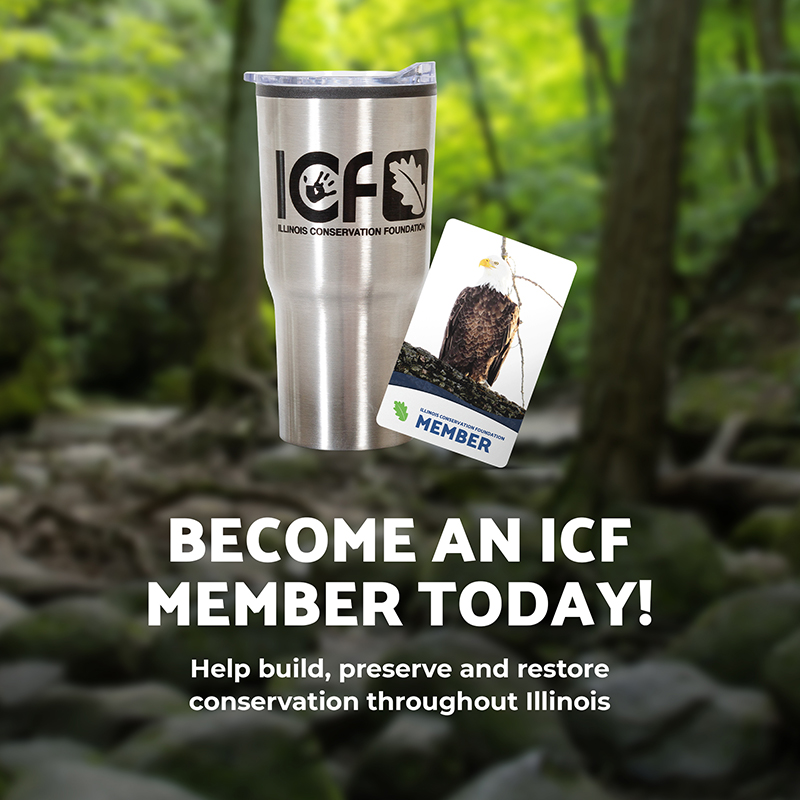 Become an ICF member today help build, preserve and restore conservation throughout Illinois